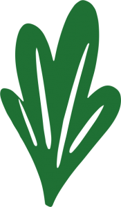 hoja aqualoe
