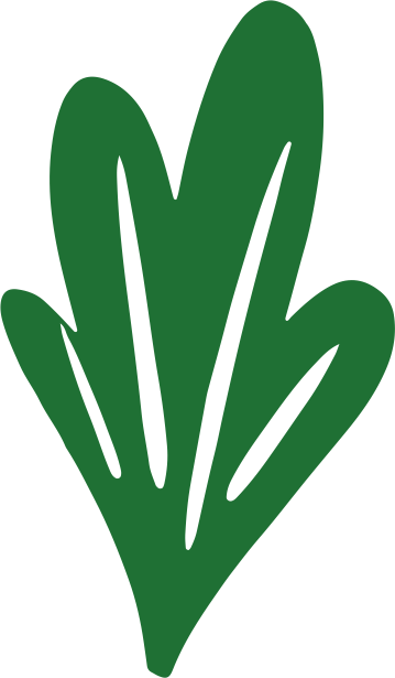 hoja aqualoe